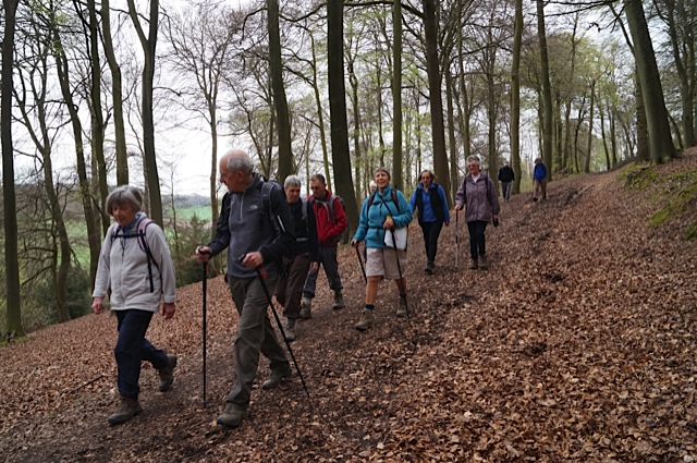 Image of group of people walking through a wood.