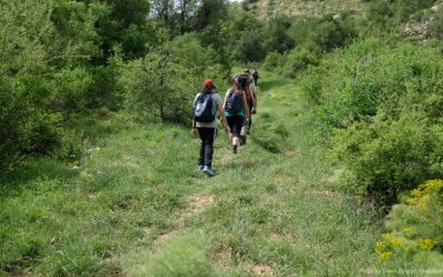 Walking – November 2025