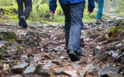 Walking – October 2025