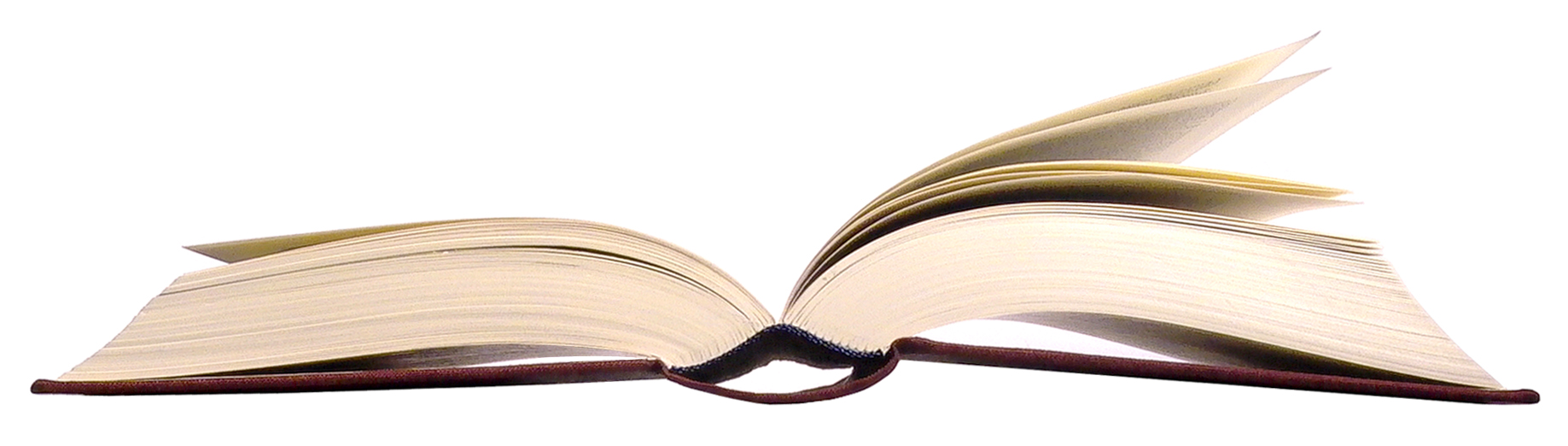 Open book Photo by adamci on Freeimages