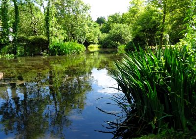 River at Ewelme