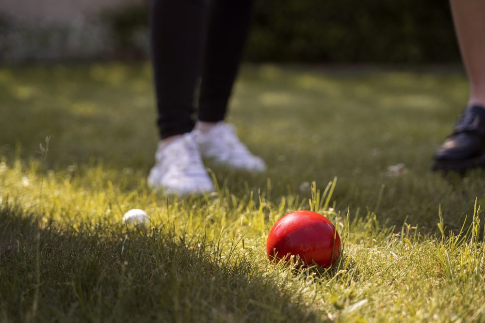 Boule on grass. Image from Freepix.
