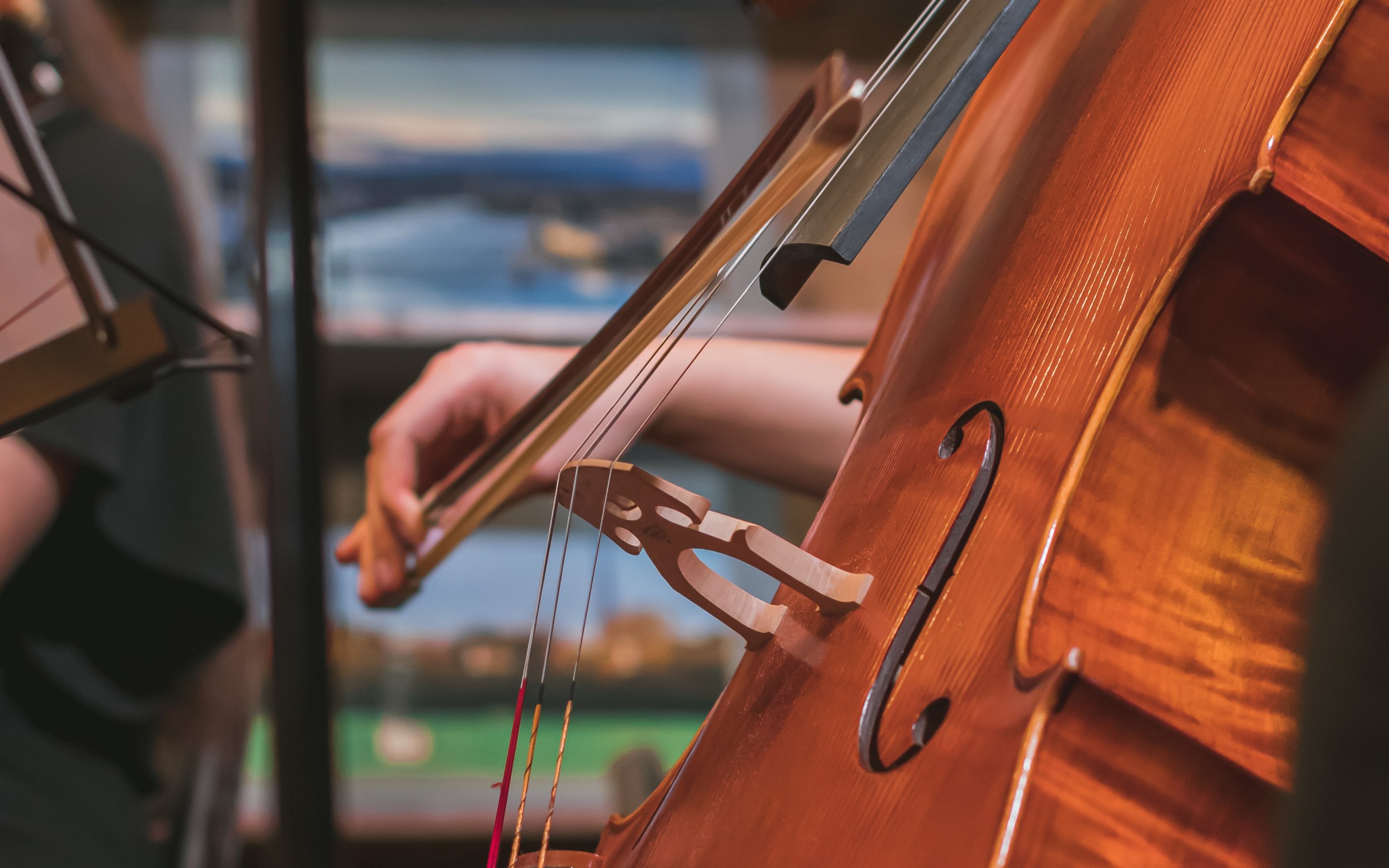 Person playing a cello. Image number 8281130 by wirestock on Freepik
