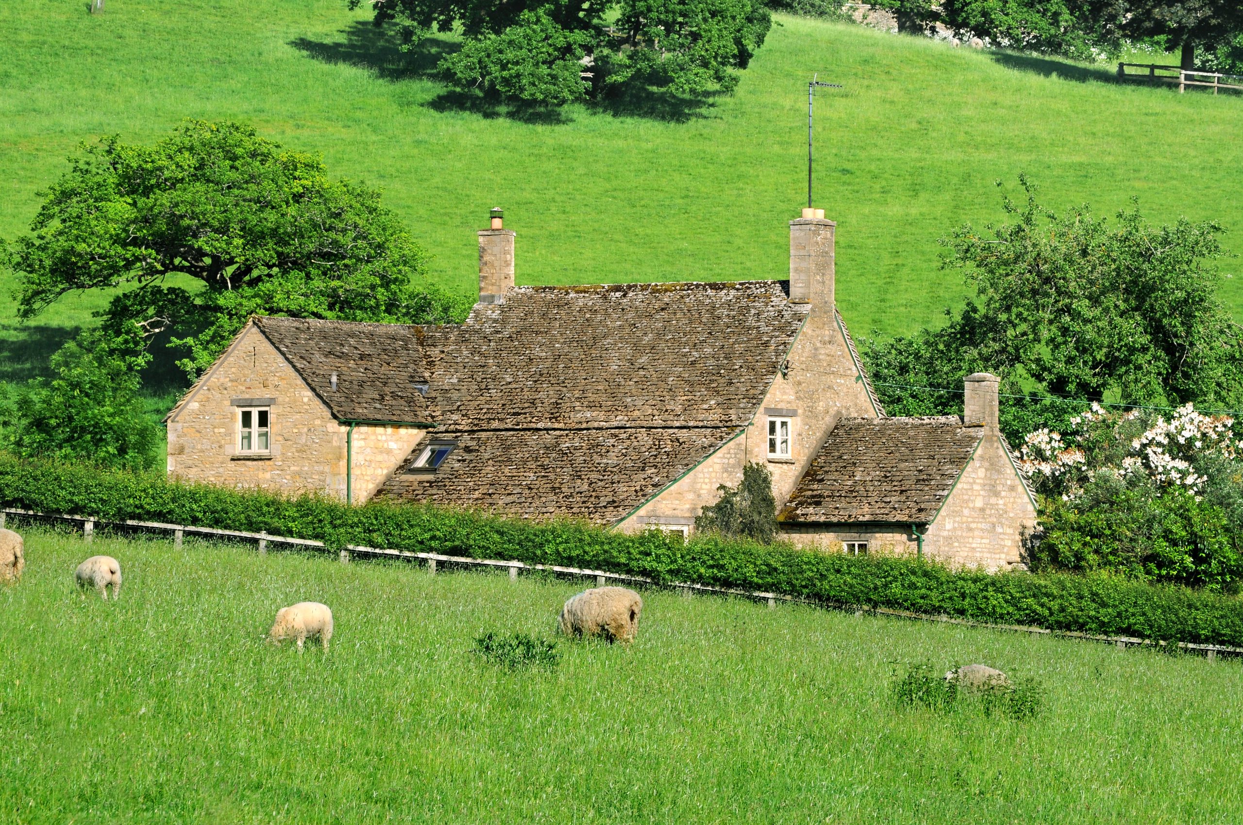 A house in the countryside Image 1068754 by jcstudio on Freepik