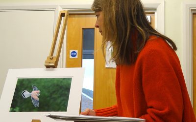 Annual Photographic Competition