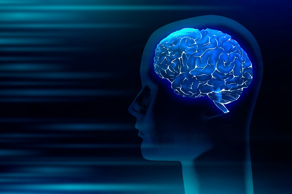 Graphic of a brain, image by rawpixel.com on Freepik