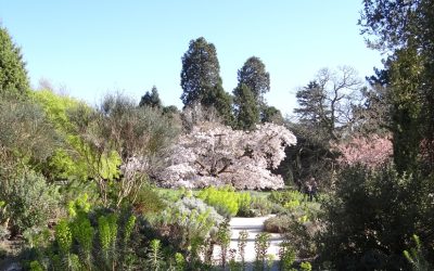 VISIT TO WIMPOLE HALL AND CAMBRIDGE UNIVERSITY BOTANIC GARDENS APRIL 1ST 2025