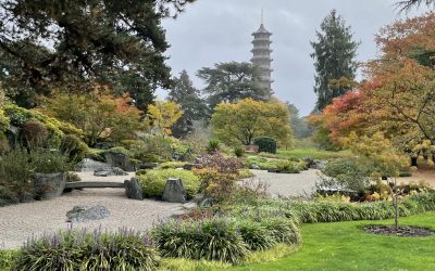 Visit to Kew Gardens October 20th