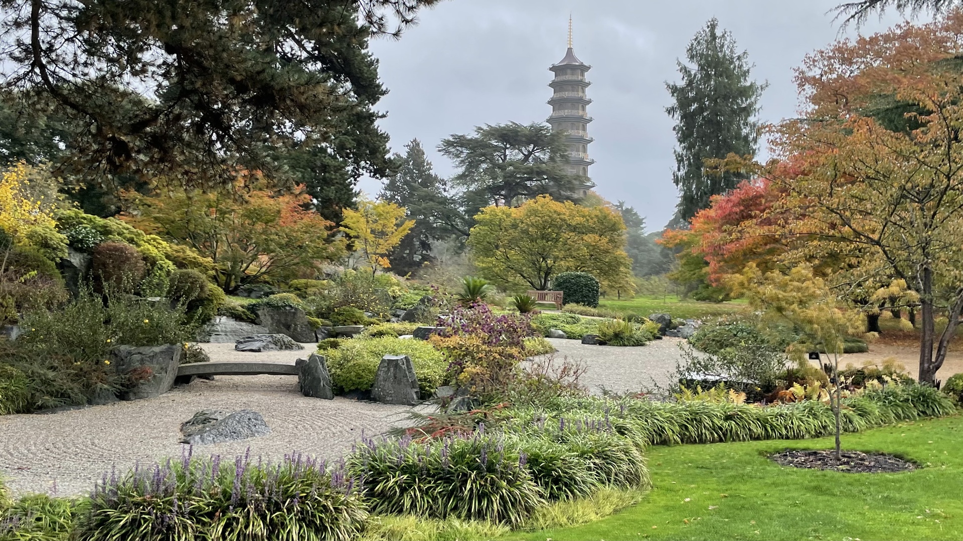 Visit to Kew Gardens October 20th