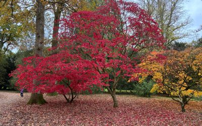 PHOTOSHOOT – AUTUMN COLOURS