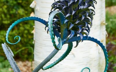 Garden Group – Trip to Ashwood Nurseries and John’s Garden