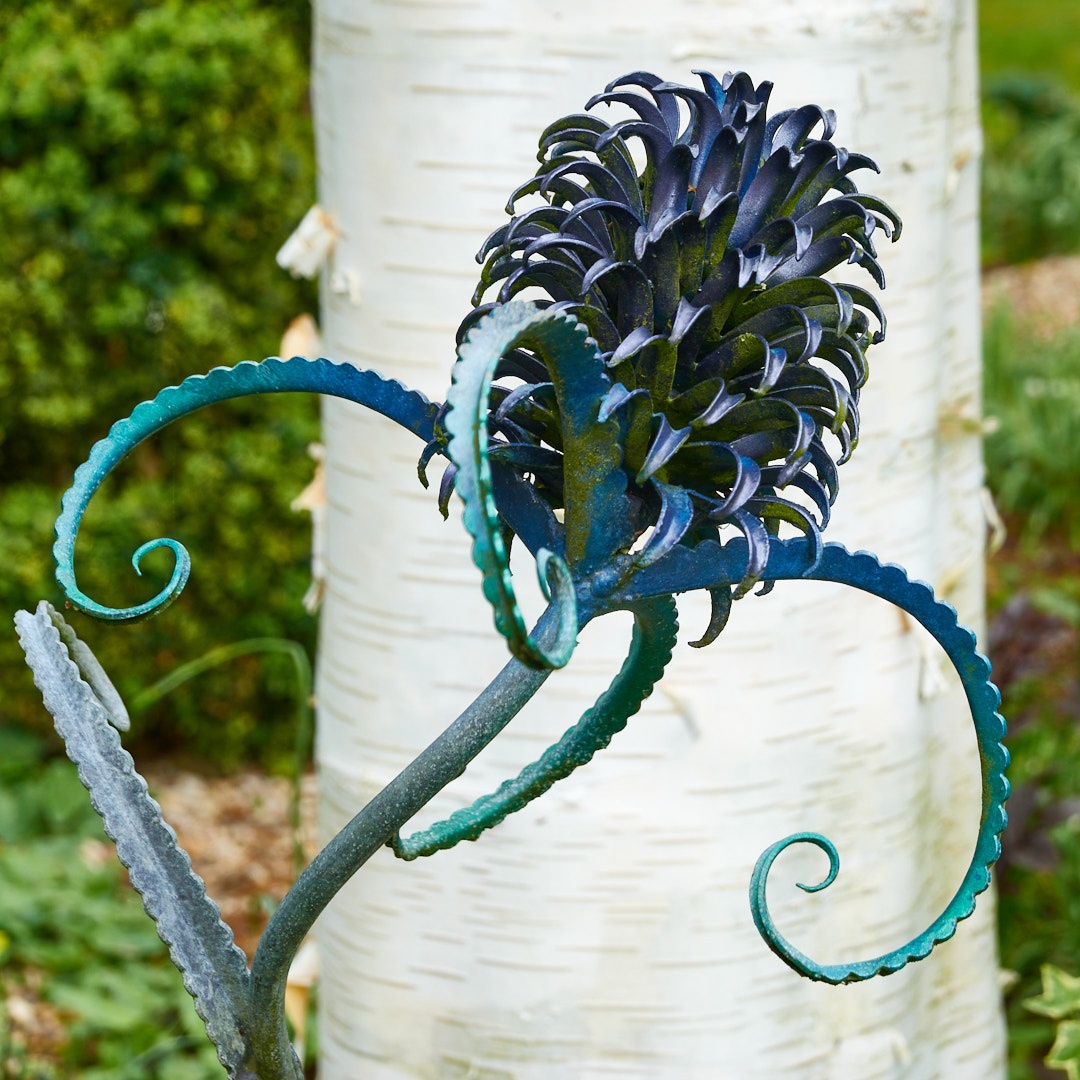 Garden Group – Trip to Ashwood Nurseries and John’s Garden