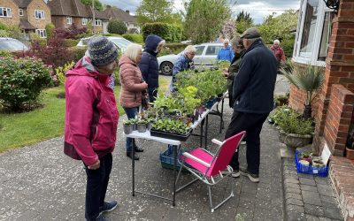 Gardening Group – Plant Sale