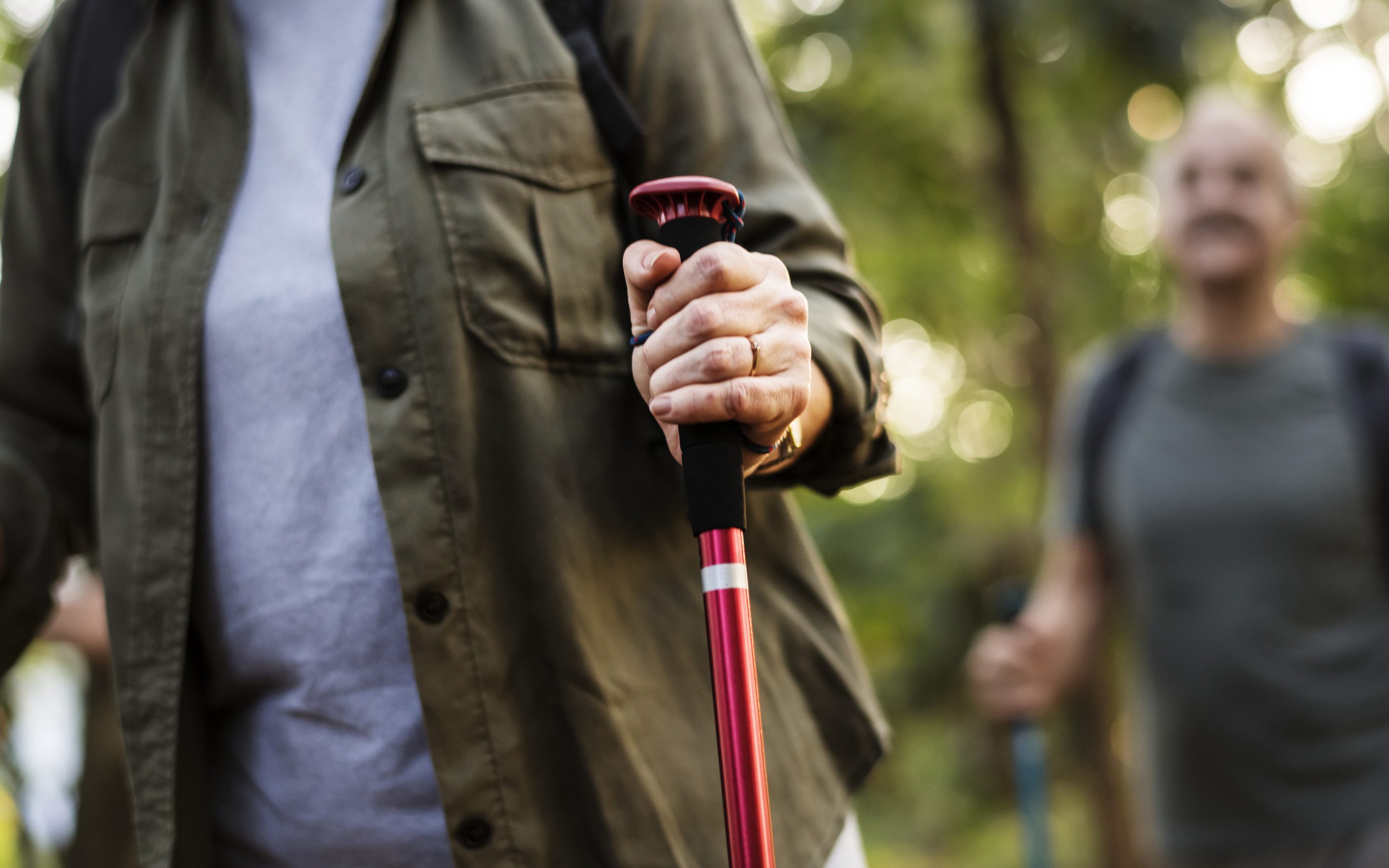 Seniors trekking in a forest
