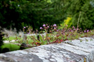 MW5D0796-web