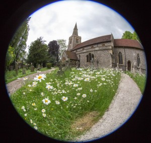 MW5D0812-web
