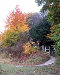 Grangelands