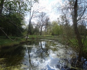 Magdalen, Oxford